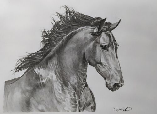 Ramiro Martín Warmerdam